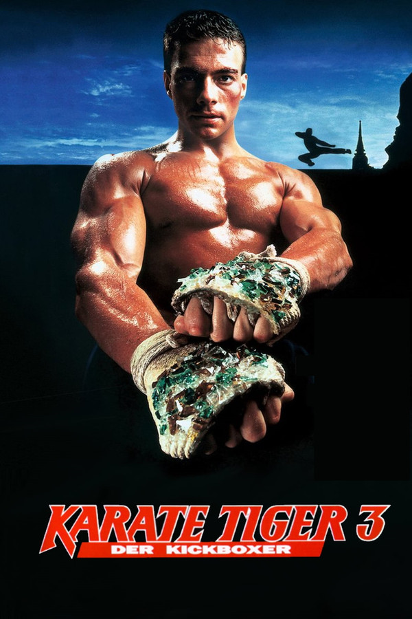 DE - Karate Tiger 3: Der Kickboxer (1989)