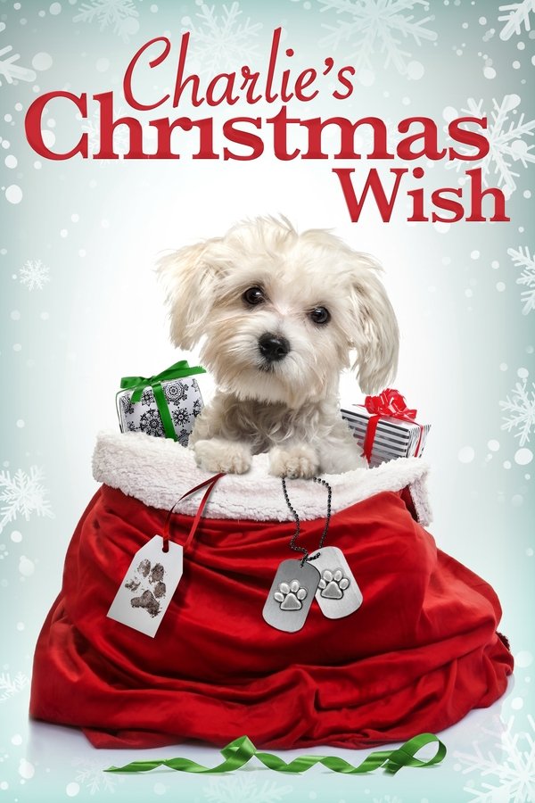 DE - Charlie's Christmas Wish: Ein Weihnachtsfest der Hoffnung (2020)