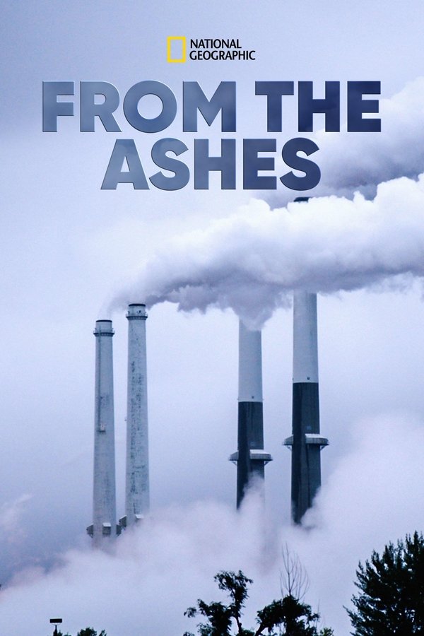 D+ - From the Ashes  (2017)