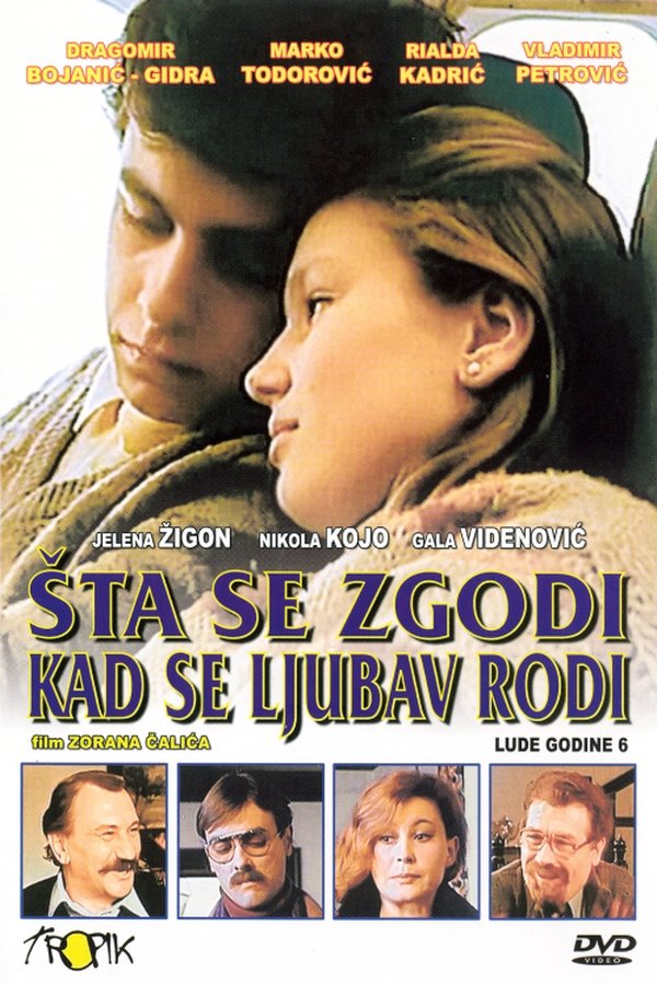 EX - Lude Godine 6 - Sta se zgodi kad se ljubav rodi (1984)