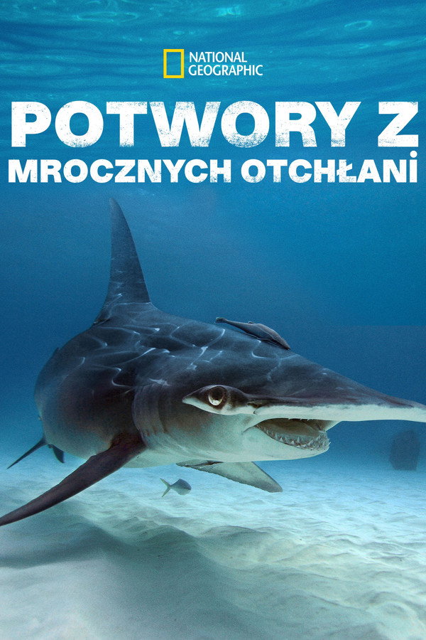 PL - POTWORY Z MROCZNYCH OTCHŁANI (2020) DOKUMENT
