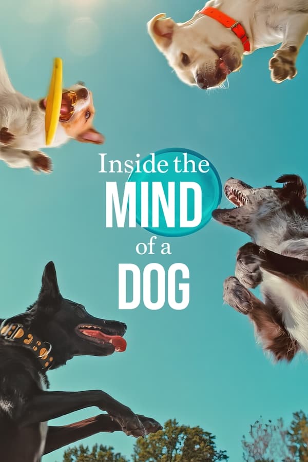 NL - INSIDE THE MIND OF A DOG (2024)