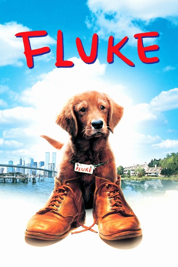 DE - Fluke (1995)