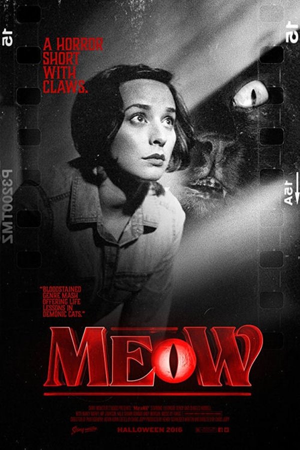 SOM - Meow  (2018)