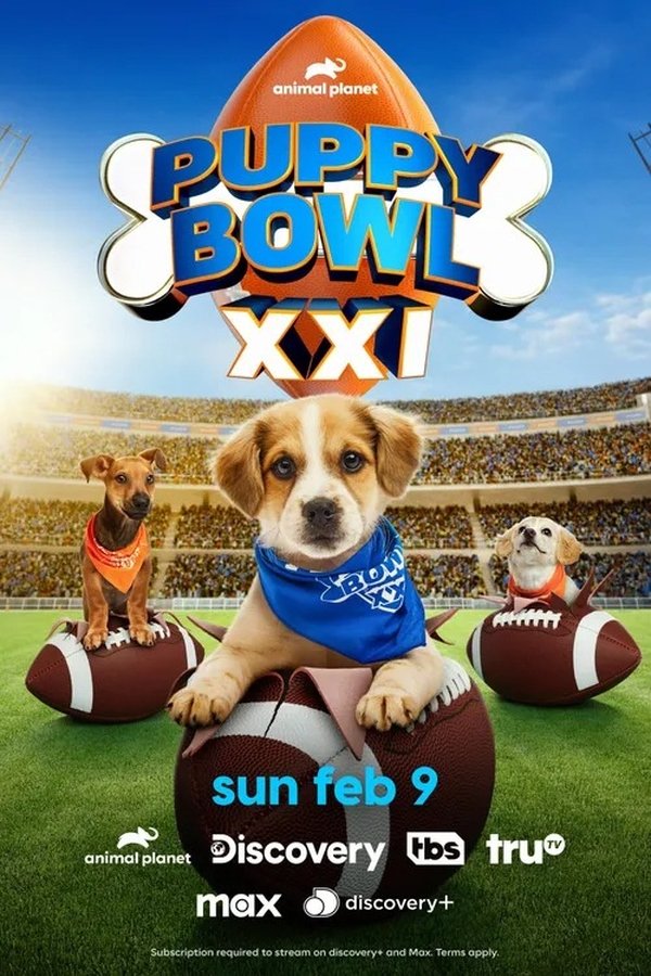 EN - Puppy Bowl XXI (2025)
