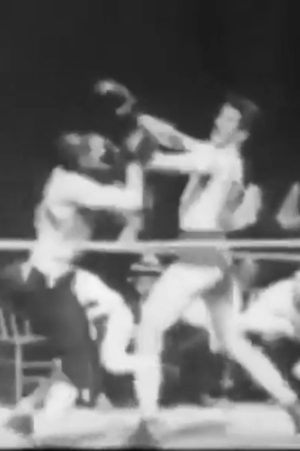 SPT - Boxing 2020 11 28 Jake Paul Vs Nate Robinson
