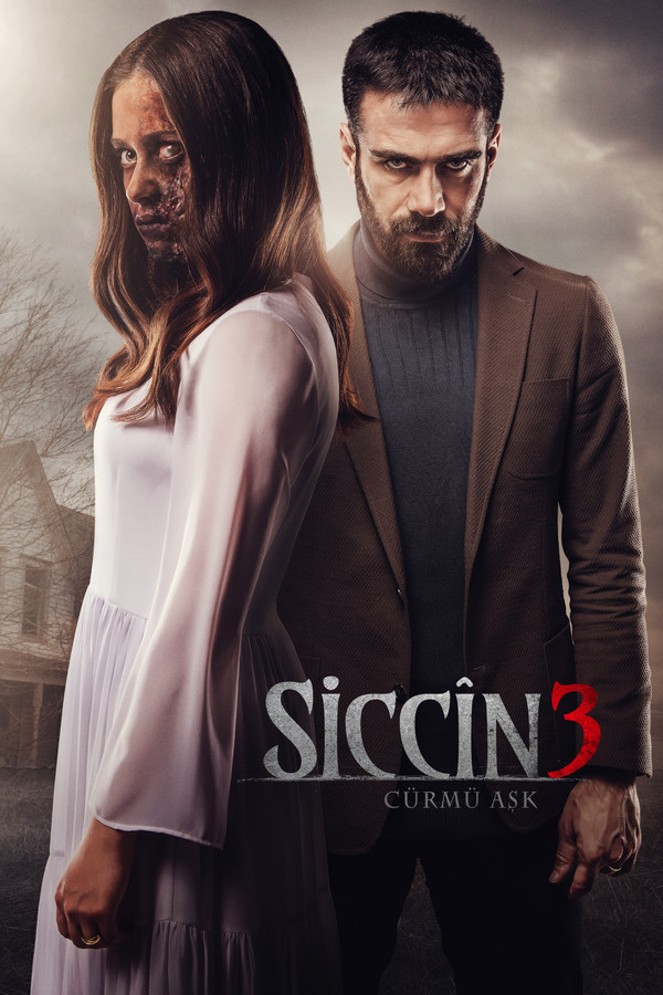 AR - Sijjin 3: The Forbidden Love (2016)