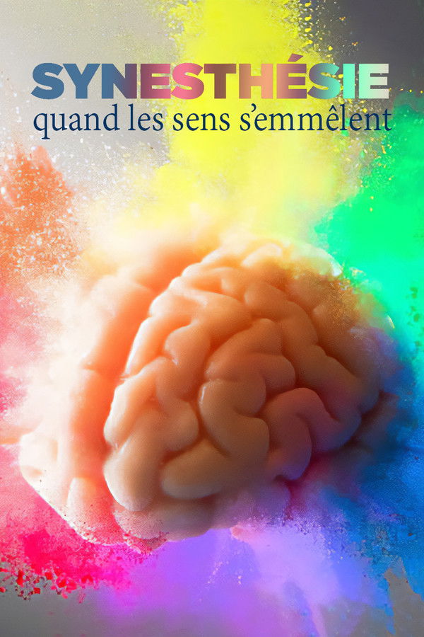 quand les sens s‘emmêlent (2023)