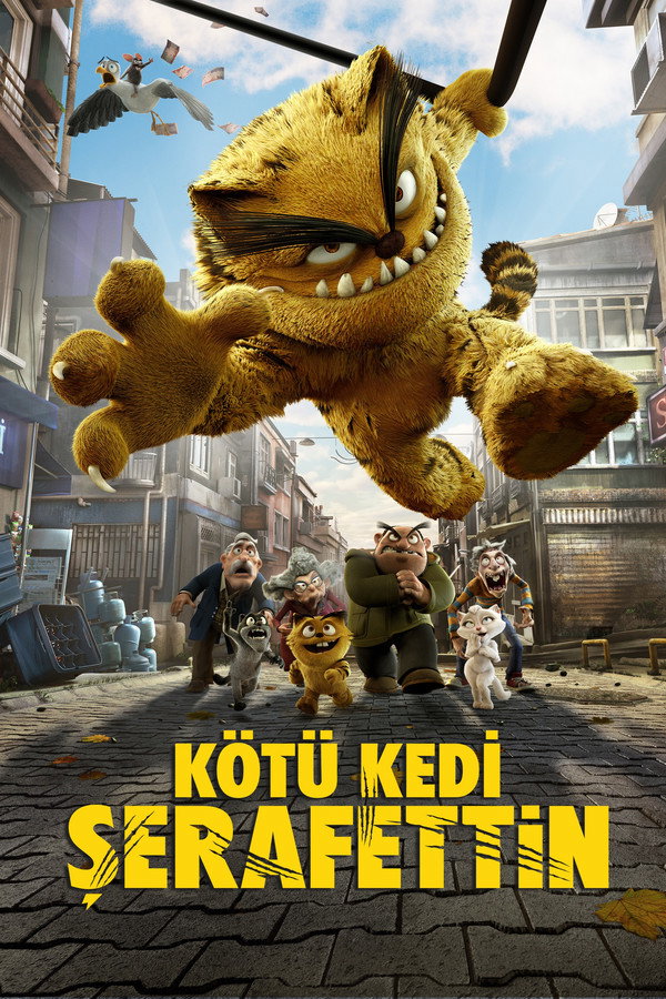 PL - KOCUR (2016) ANIMACJA DLA DOROSŁYCH - DUBBING