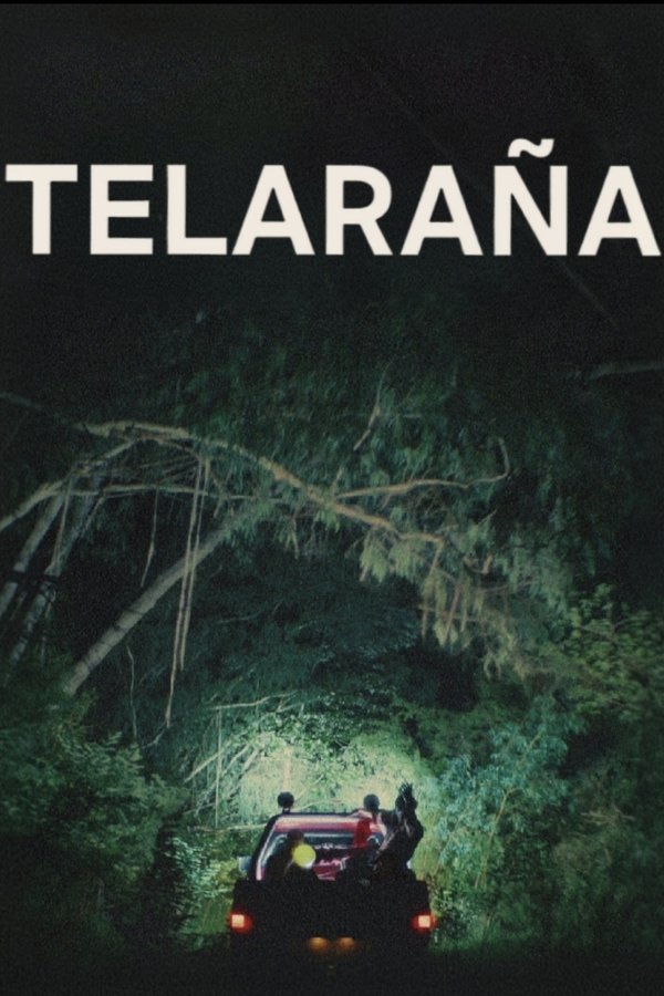 ES - Telaraña (2024) LQ