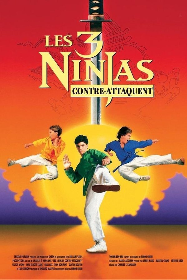 FR - Ninja Kids 2 : Les 3 Ninjas contre-attaquent  (1994)