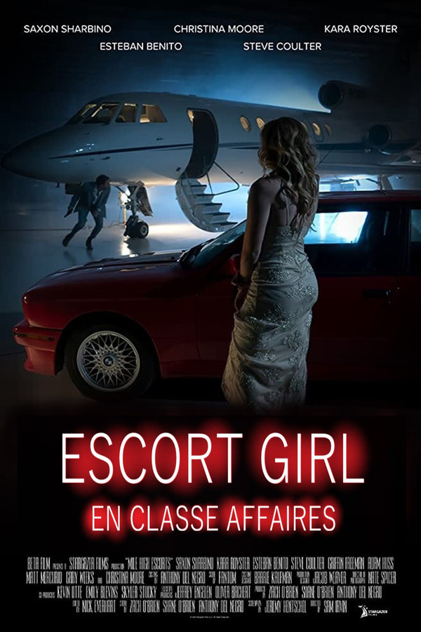 FR - Escort Girl en classe affaires  (2020)