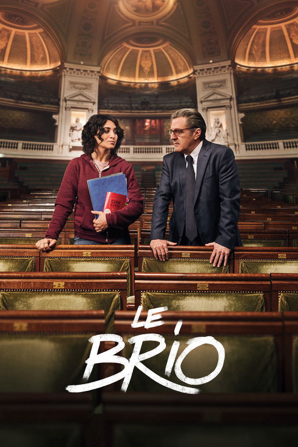 FR - Le Brio (2017)