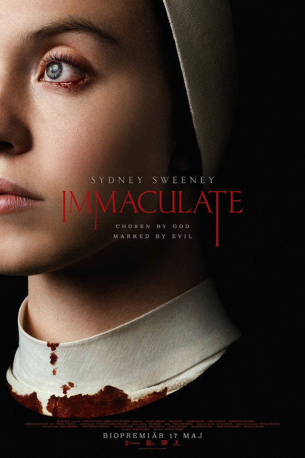SE - Immaculate