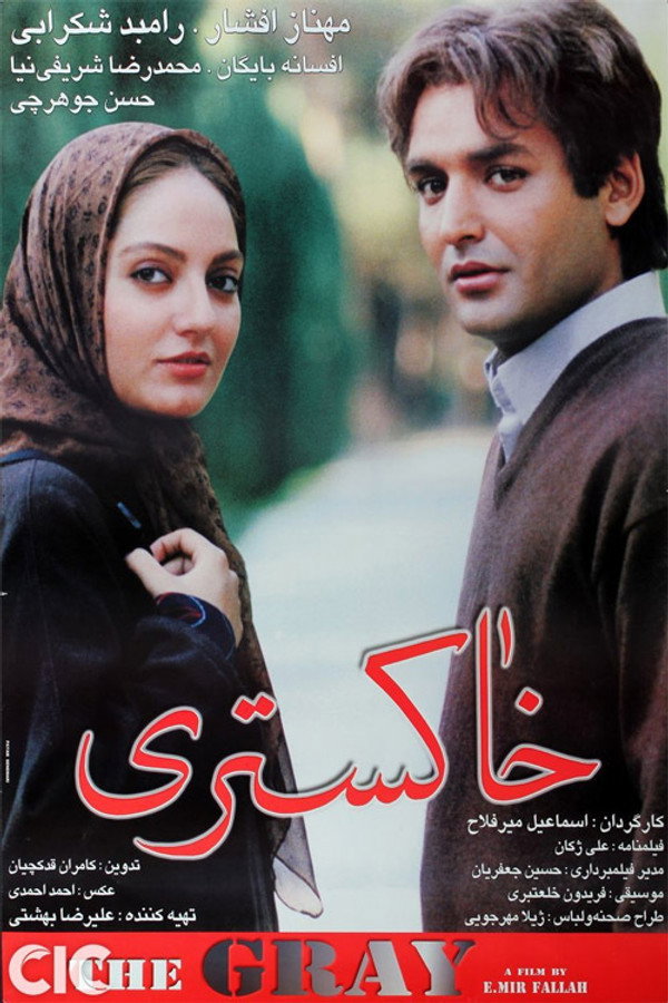 IR - Grey خاکستری - Tahmineh Milani (2001)