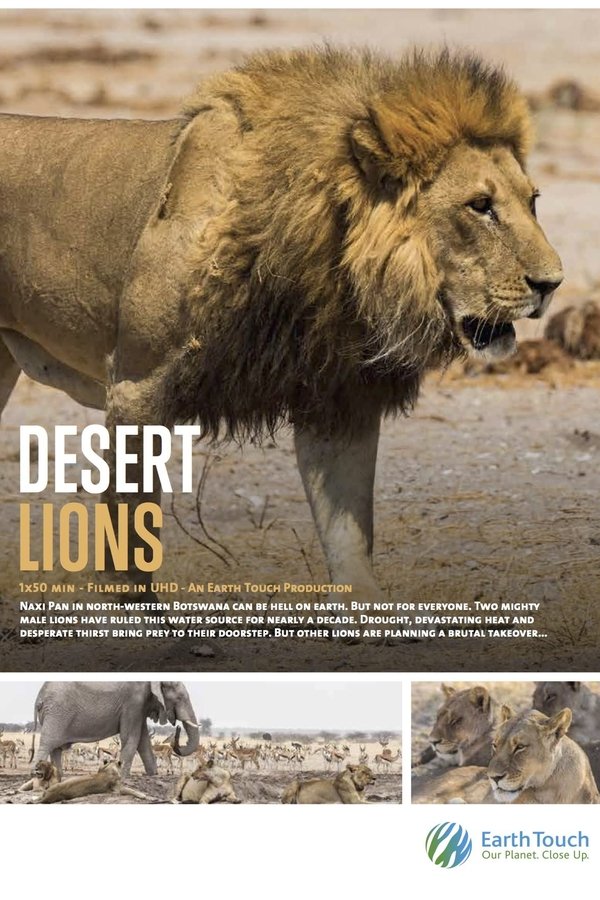 EN - Desert Lions (2017)