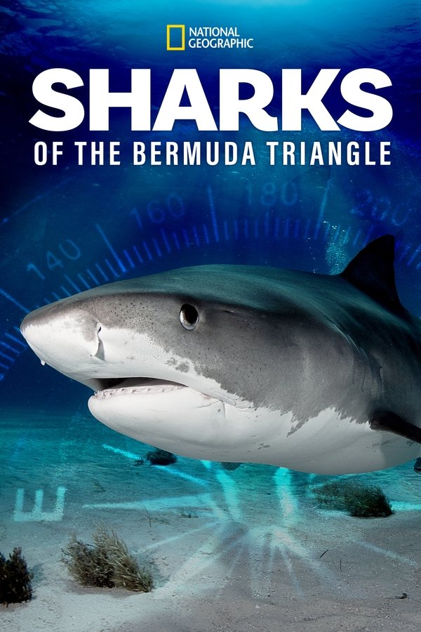 EN - Sharks Of The Bermuda Triangle (2020)