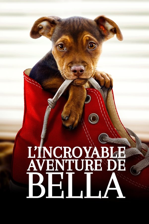 FR - L'Incroyable Aventure de Bella (2019)