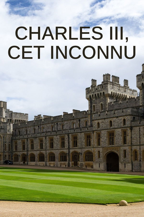 cet inconnu (2023)