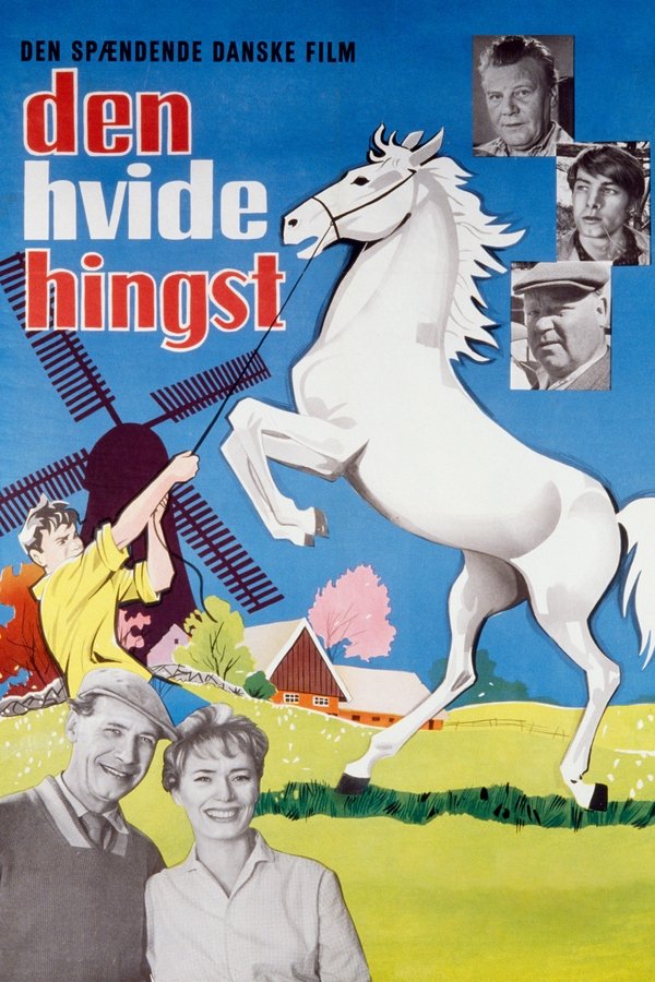 DK - The Boy Who Loved Horses (1961)