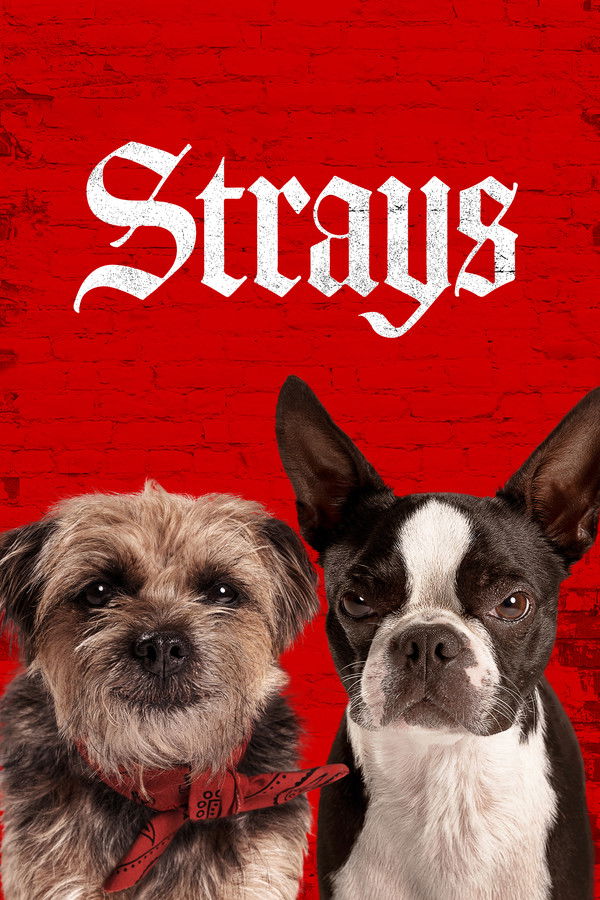 AL - Strays (2023)