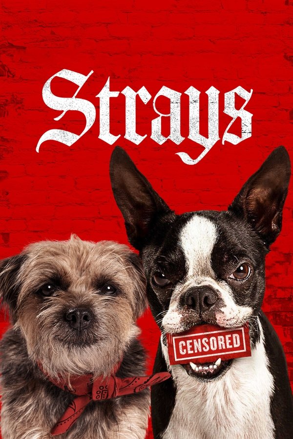 AR - Strays (2023)