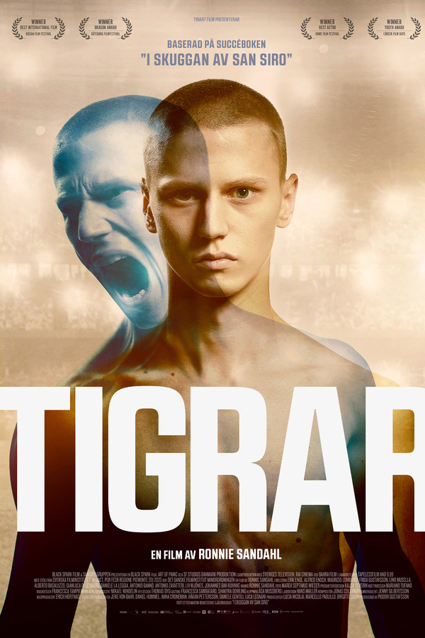 SE - Tigrar
