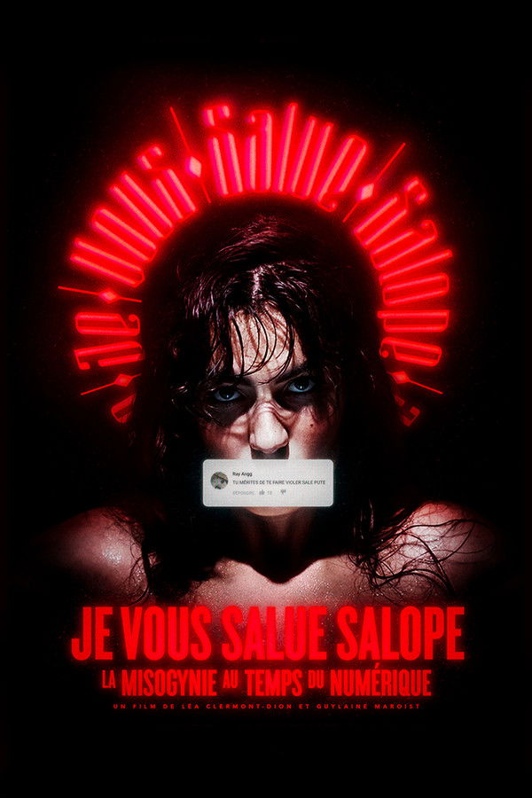 QFR - Je vous salue salope : La misogynie au temps du numérique (2022)