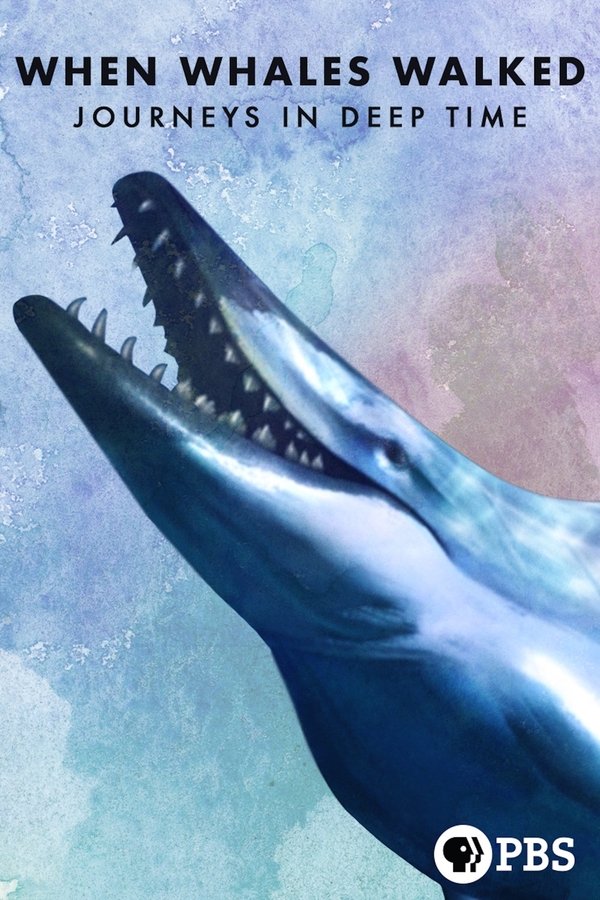 AR - When Whales Walked: Journeys in Deep Time (2019)