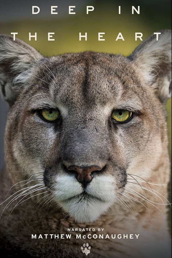 EN - Deep In The Heart: A Texas Wildlife Story (2022)