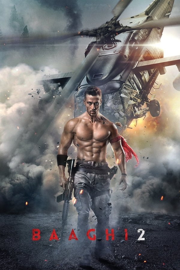 IN - Baaghi 2 (2018)