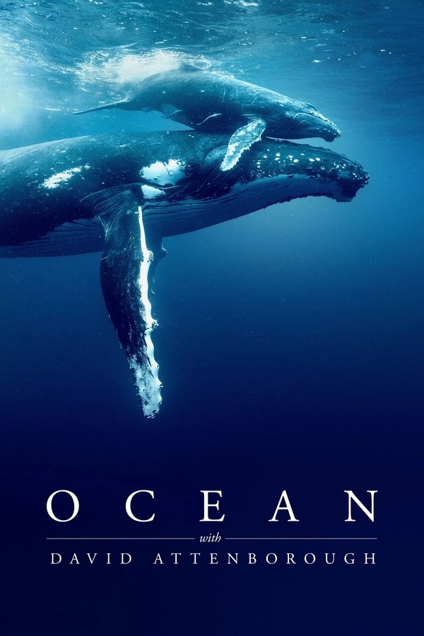 AL - Ocean with David Attenborough (2025)