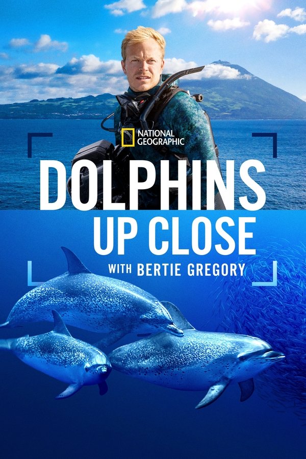 SC - Dolphins Up Close with Bertie Gregory (2025)