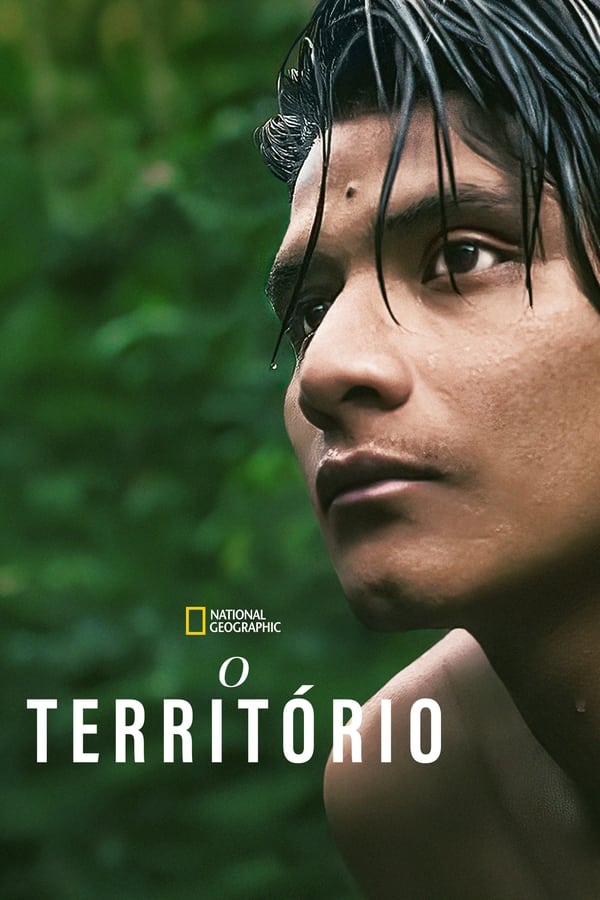 AR - The Territory (2022)