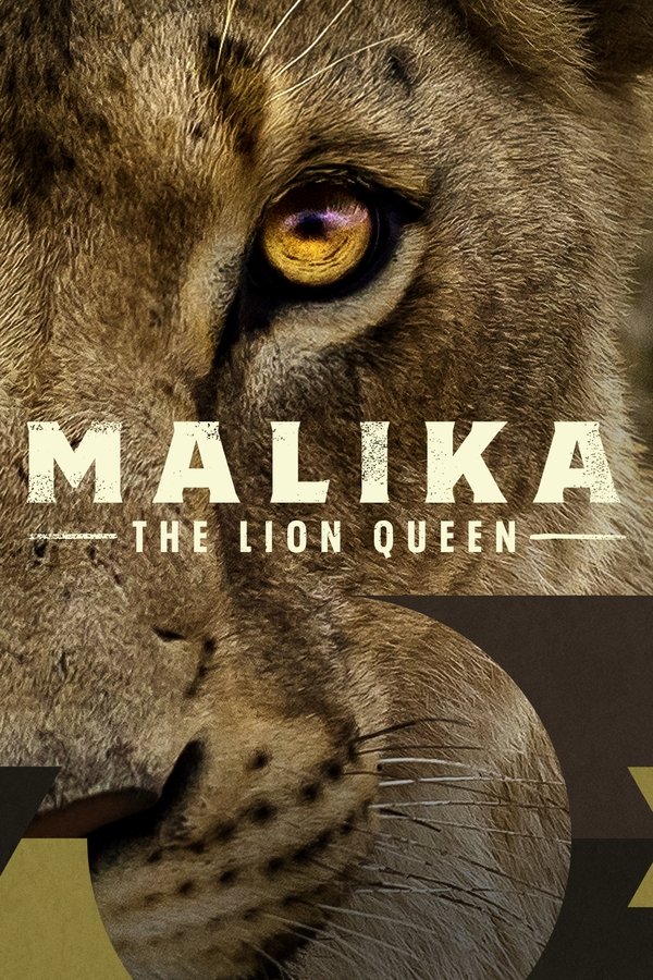 AR - Malika the Lion Queen  (2021)