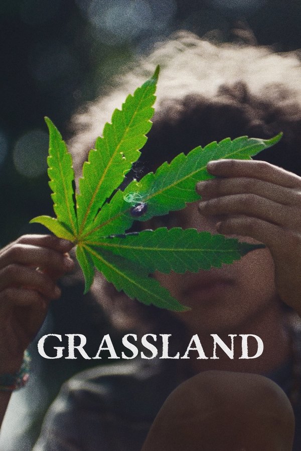 AR - Grassland (2025)