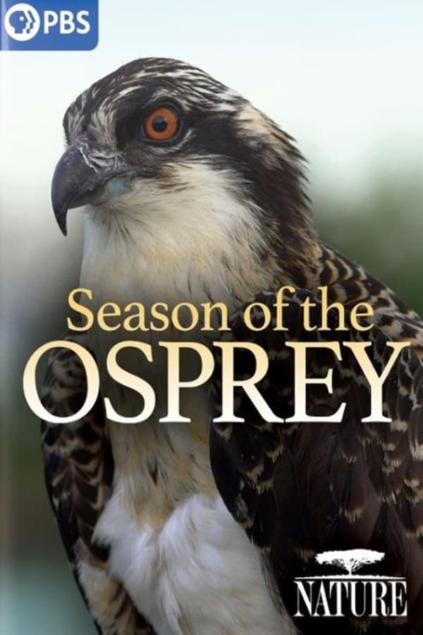 EN - NATURE Season Of The Osprey (2021)