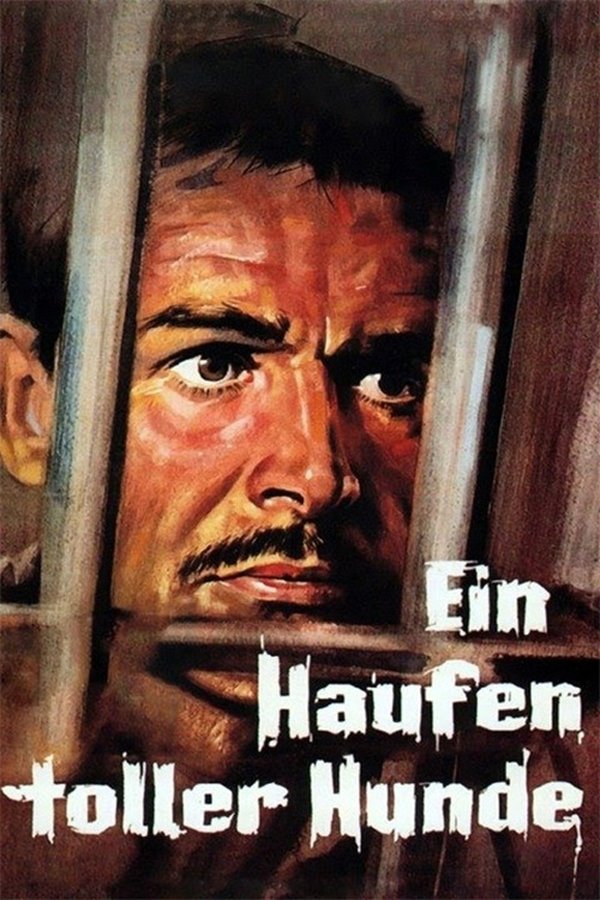 DE - Ein Haufen toller Hunde (1965)
