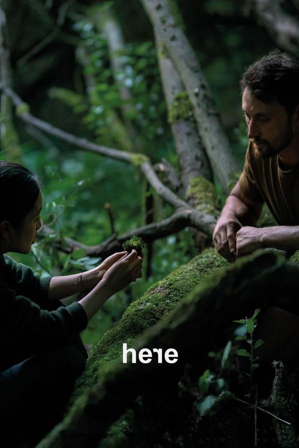 AR - Here (2024)