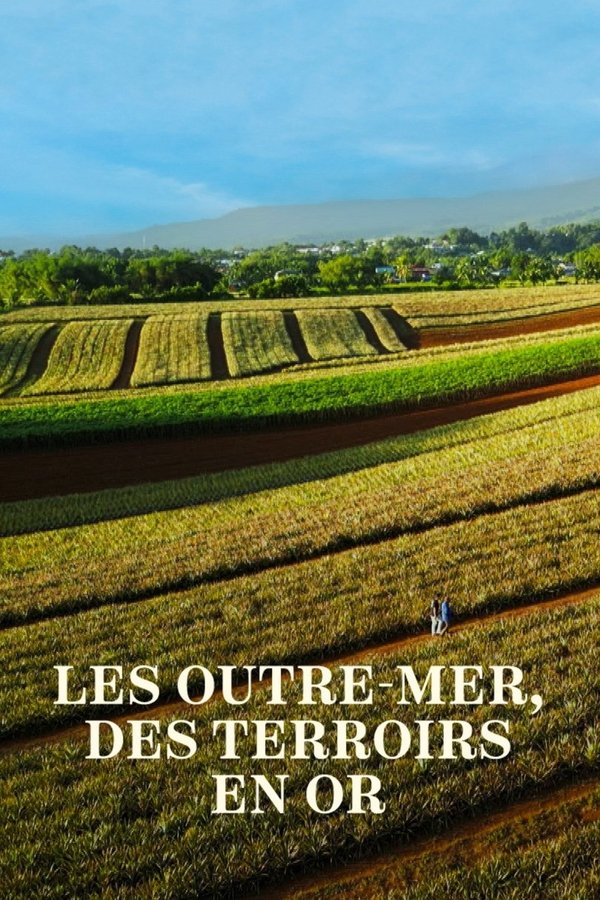 des terroirs en or (2024)