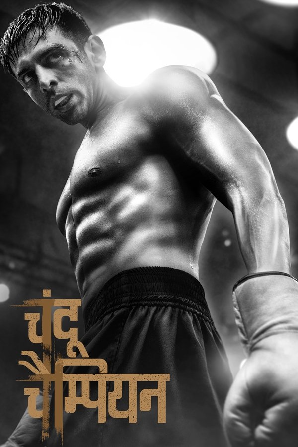 AR - Chandu Champion (2024)