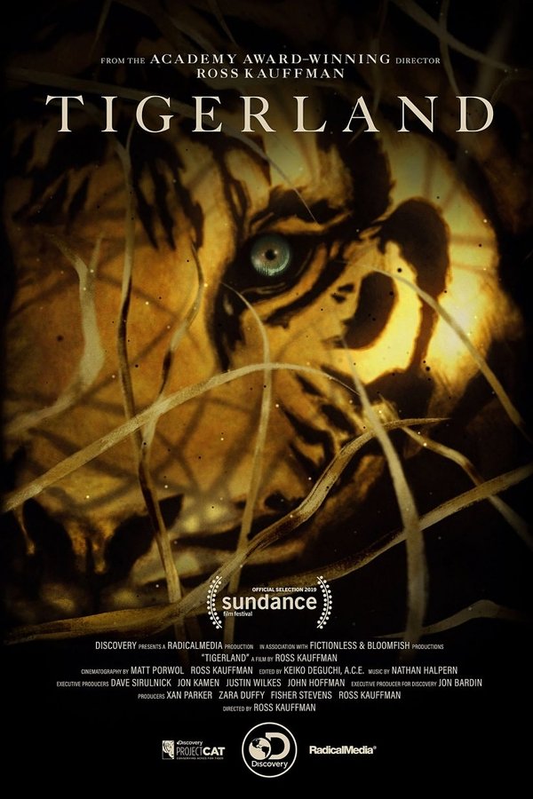 EN - Tigerland (2019)