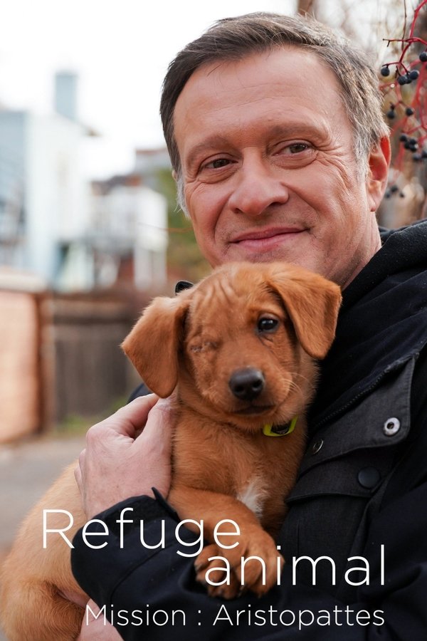 QFR - Refuge animal : Mission Aristopattes