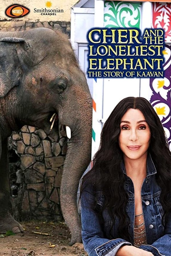 EN - Cher & the Loneliest Elephant  (2021)