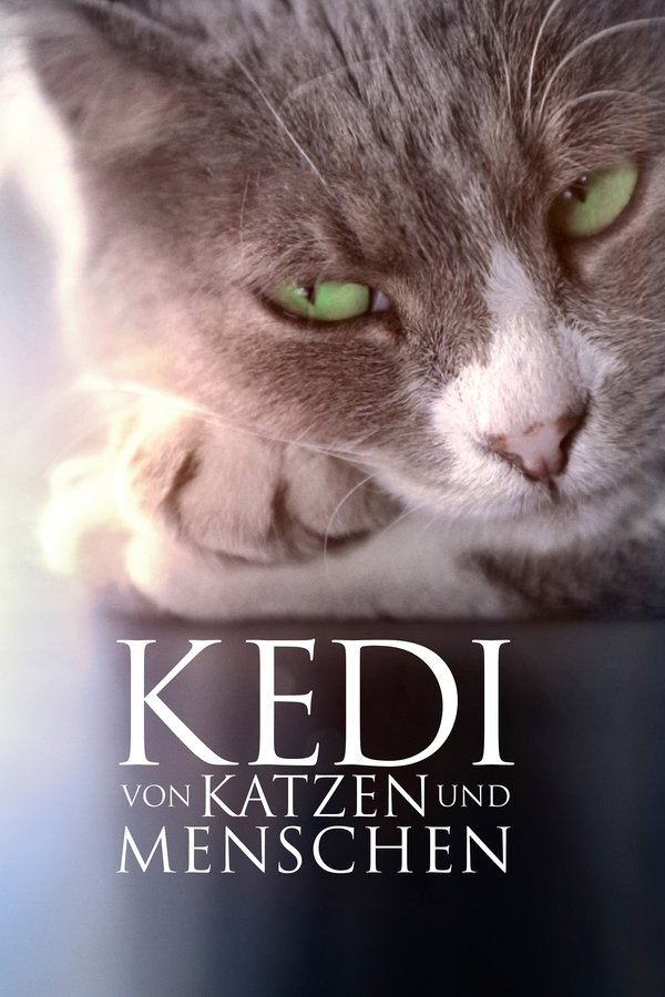 DE - Kedi: Von Katzen und Menschen (2017)