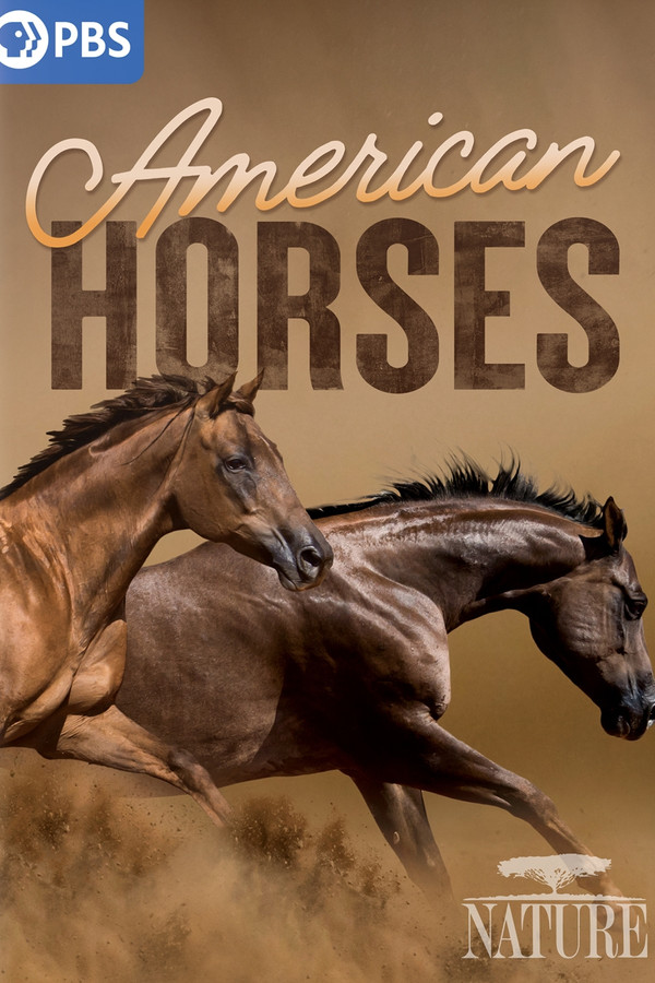 EN - NATURE American Horses (2022)