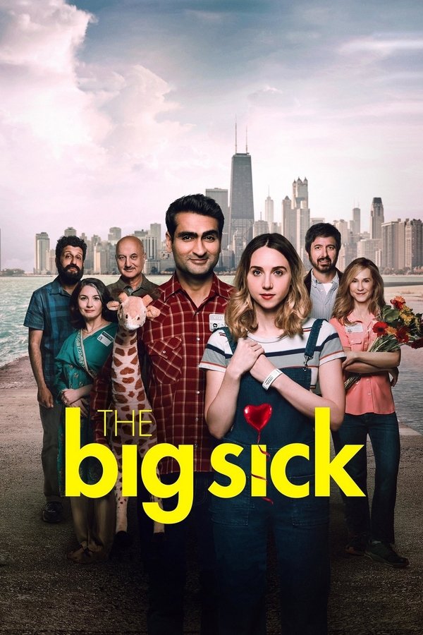FR - The Big Sick (2017)
