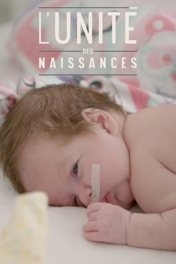 QFR - L'Unité des naissances