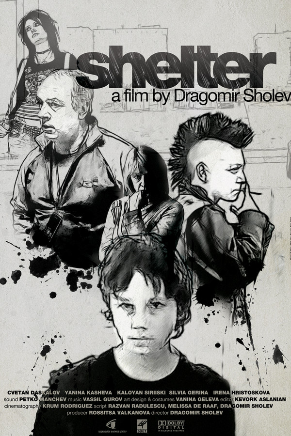 BG - Shelter (2011)