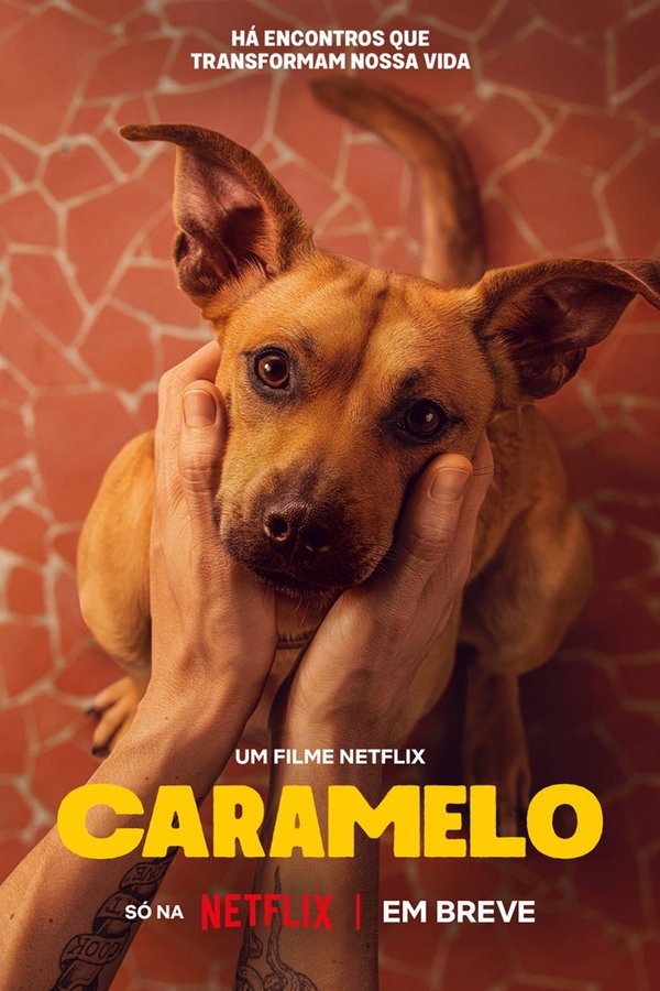 SC - Caramelo (2025)